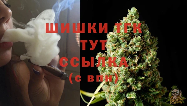 соль ск Балабаново